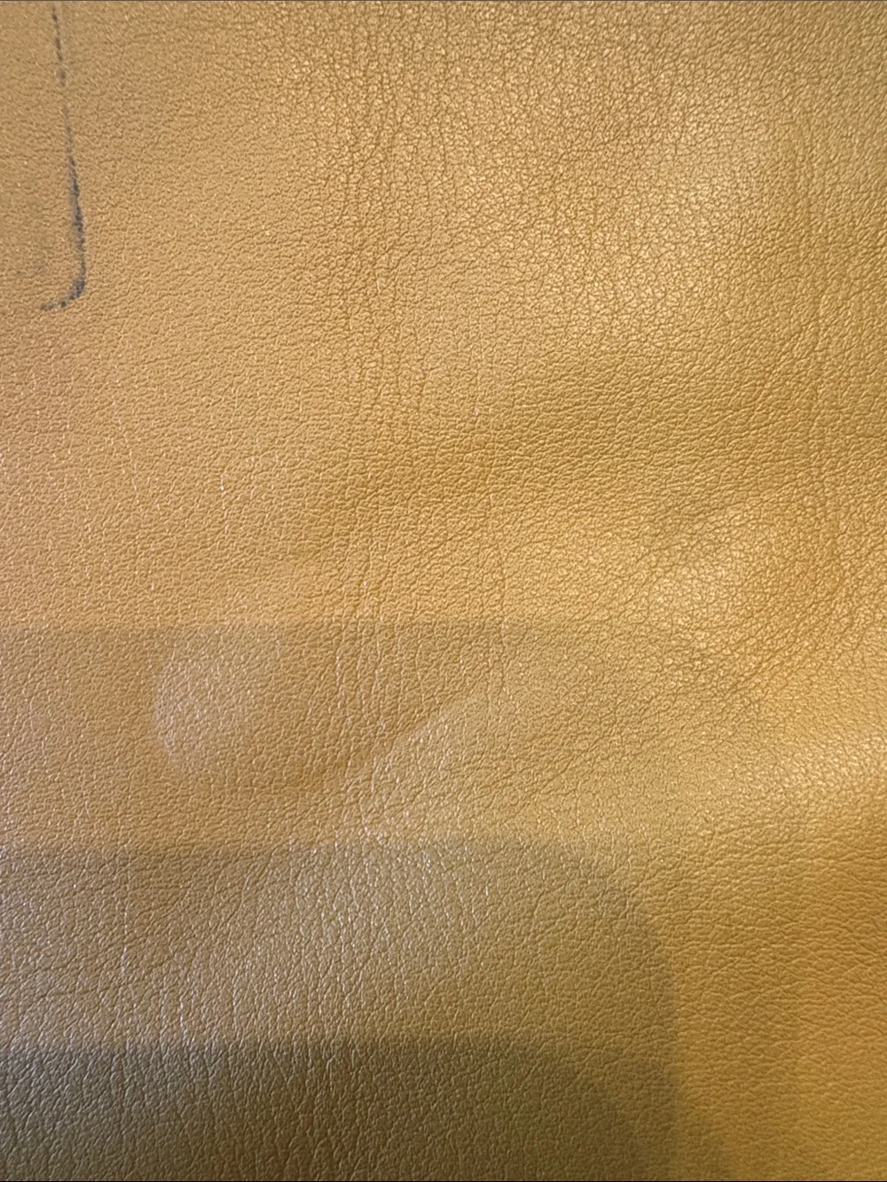COACH Yellow Leather Clutch with Front Zip